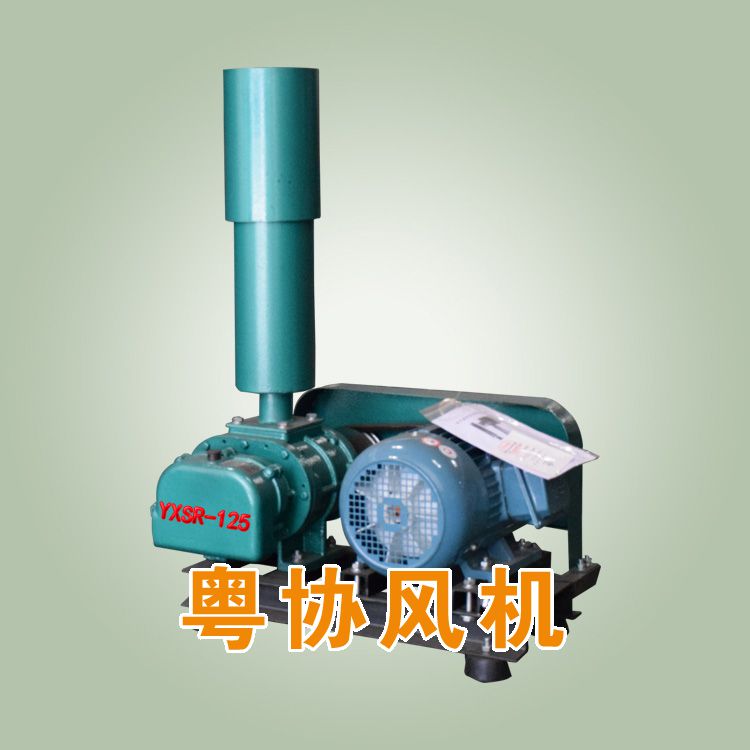 125型罗茨鼓风机.jpg
